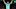 Leicester City Leicester City