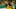 DUESSELDORF, GERMANY – AUGUST 09: Lukasz Piszczek of Borussia Dortmund reacts during the DFB Cup first round match between KFC Uerdingen and Borussia Dortmund at Merkur Spiel-Arena on August 09, 2019 in Duesseldorf, Germany. (Photo by Maja Hitij/Bongarts/Getty Images) DUESSELDORF, GERMANY – AUGUST 09: Lukasz Piszczek of Borussia Dortmund reacts during the DFB Cup first round match between KFC Uerdingen and Borussia Dortmund at Merkur Spiel-Arena on August 09, 2019 in Duesseldorf, Germany. (Photo by Maja Hitij/Bongarts/Getty Images)