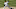 Aroldis Chapman Aroldis Chapman