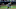 FanDuel MLB FanDuel MLB