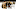 bergeron rask bruins bergeron rask bruins