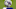 Leicester City Leicester City