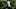 Charley Hoffman PGA Championship DraftKings Charley Hoffman PGA Championship DraftKings
