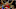 2016 NBA All-Star Game 2016 NBA All-Star Game
