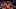 NBA NBA