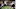 Chicago Bears Chicago Bears