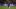 Chelsea Chelsea