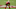 Kwon Alexander, SF 49ers Kwon Alexander, SF 49ers