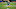Jaire Alexander, Green Bay Packers, opponent of the Buccaneers (Photo by Dylan Buell/Getty Images) Jaire Alexander, Green Bay Packers, opponent of the Buccaneers (Photo by Dylan Buell/Getty Images)
