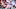 Nebraska Football Nebraska Football