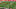 screen-shot-2016-10-11-at-6-06-44-pm screen-shot-2016-10-11-at-6-06-44-pm