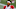 NFL Power Rankings NFL Power Rankings