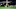 LAKE BUENA VISTA, FL – JULY 27: Cade Cowell #44 of the San Jose Earthquakes dribbles the ball during a game between San Jose Earthquakes and Real Salt Lake at ESPN Wide World of Sports on July 27, 2020, in Lake Buena Vista, Florida. (Photo by Jeremy Reper/ISI Photos/Getty Images)