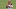 Joe Burrow, Cincinnati Bengals, 2020 NFL Draft Joe Burrow, Cincinnati Bengals, 2020 NFL Draft