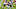 Cleveland Browns Cleveland Browns
