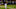 MLB DFS MLB DFS