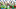 Seattle Sounders Seattle Sounders
