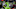 NFL: Los Angeles Rams at Seattle Seahawks NFL: Los Angeles Rams at Seattle Seahawks