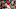 Boston Red Sox Boston Red Sox