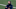 Bill Belichick, New England Patriots Bill Belichick, New England Patriots