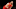 Toronto Raptors, Fred VanVleet Toronto Raptors, Fred VanVleet