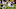 Chicago Bears, Khalil Mack Chicago Bears, Khalil Mack