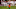 Travis Etienne Clemson 2020 NFL Draft Travis Etienne Clemson 2020 NFL Draft