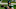 Philadelphia Eagles Joe Flacco Philadelphia Eagles Joe Flacco