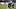Seattle Seahawks
