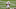 2021 NFL Draft 2021 NFL Draft