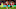 SOUTHAMPTON, ENGLAND – NOVEMBER 06: Southampton player Che Adams celebrates SOUTHAMPTON, ENGLAND – NOVEMBER 06: Southampton player Che Adams celebrates