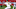 DraftKings DraftKings