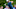 Brooks Koepka FedEx Cup Northern Trust Brooks Koepka FedEx Cup Northern Trust