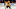 Oct 4, 2016; Nashville, TN, USA; Nashville Predators defenseman Oct 4, 2016; Nashville, TN, USA; Nashville Predators defenseman