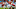 MIAMI GARDENS, FL – OCTOBER 15: T.J. Logan MIAMI GARDENS, FL – OCTOBER 15: T.J. Logan