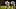 Minnesota Vikings Minnesota Vikings