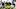 Michigan football Michigan football
