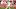 SAN DIEGO, CA – JANUARY 29: Jordan Morris SAN DIEGO, CA – JANUARY 29: Jordan Morris