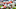 Undrafted free agents Undrafted free agents