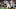 Sep 17, 2016; South Bend, IN, USA; Michigan State Spartans quarterback Tyler O Sep 17, 2016; South Bend, IN, USA; Michigan State Spartans quarterback Tyler O