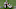 New England Patriots New England Patriots