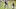 2020 NFL Power Rankings