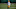 ASHWAUBENON, WISCONSIN – AUGUST 17: Davante Adams #17 of the Green Bay Packers works out during training camp at Ray Nitschke Field on August 17, 2020 in Ashwaubenon, Wisconsin. (Photo by Stacy Revere/Getty Images) ASHWAUBENON, WISCONSIN – AUGUST 17: Davante Adams #17 of the Green Bay Packers works out during training camp at Ray Nitschke Field on August 17, 2020 in Ashwaubenon, Wisconsin. (Photo by Stacy Revere/Getty Images)