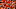 Illinois Sports Illinois Sports