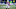 Chicago Bears, Kyler Murray