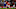 Leicester City Leicester City