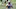 Buffalo Bills Buffalo Bills