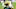 Green Bay Packers