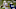 dallas cowboys dallas cowboys