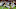NCAA Football: Orange Bowl-Michigan vs Florida State